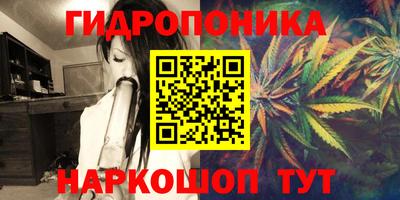 соль ск Краснодар