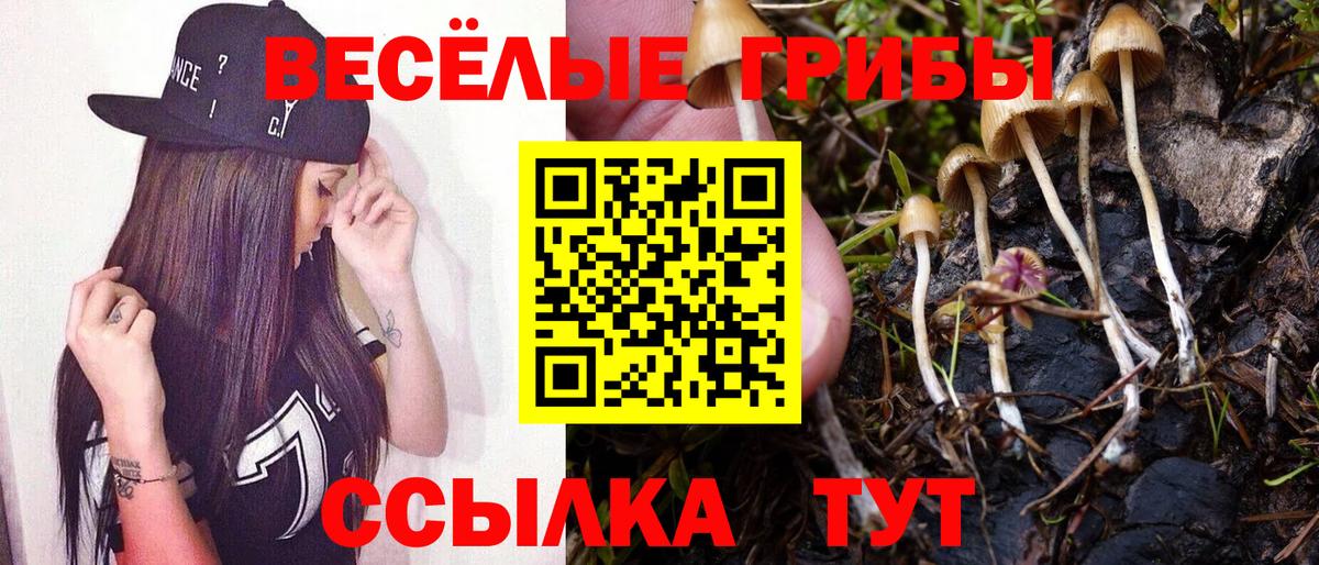 Псилоцибиновые грибы Psilocybe Лобня