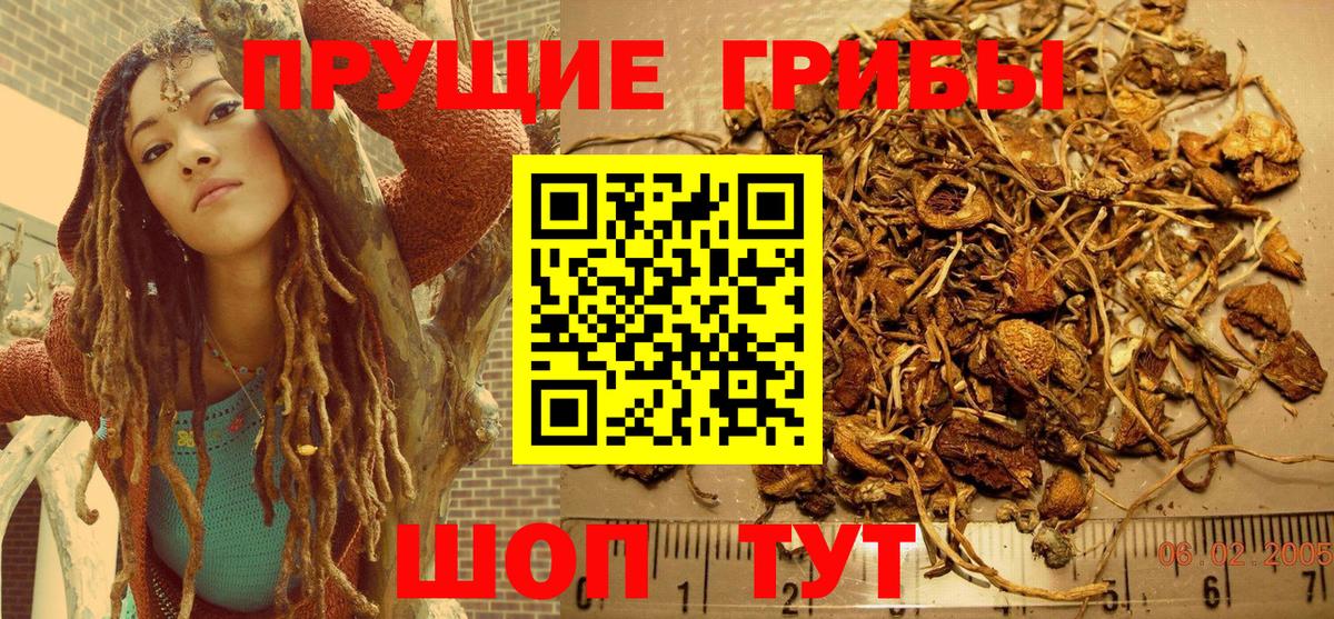 Лобня  Галлюциногенные грибы мухоморы  Вход с VPN 